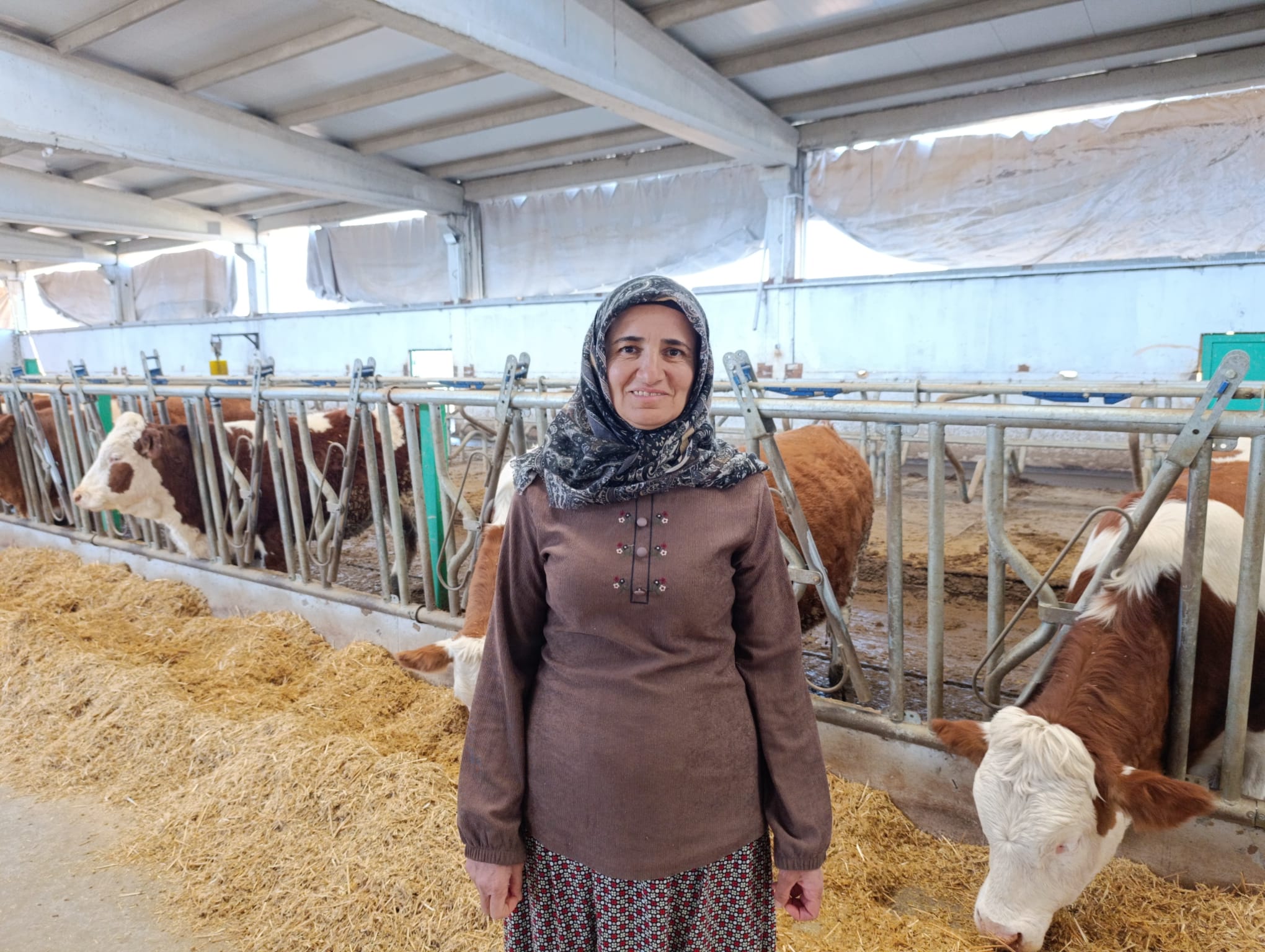 Kadın girişimci devlet desteğiyle kendi işini kurdu...Günlük bin litre süt üretiliyor